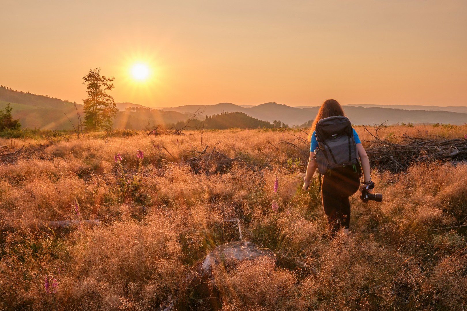 De beste fotospots voor zonsopgang en zonsondergang in het Schmallenberger en Esloher Sauerland