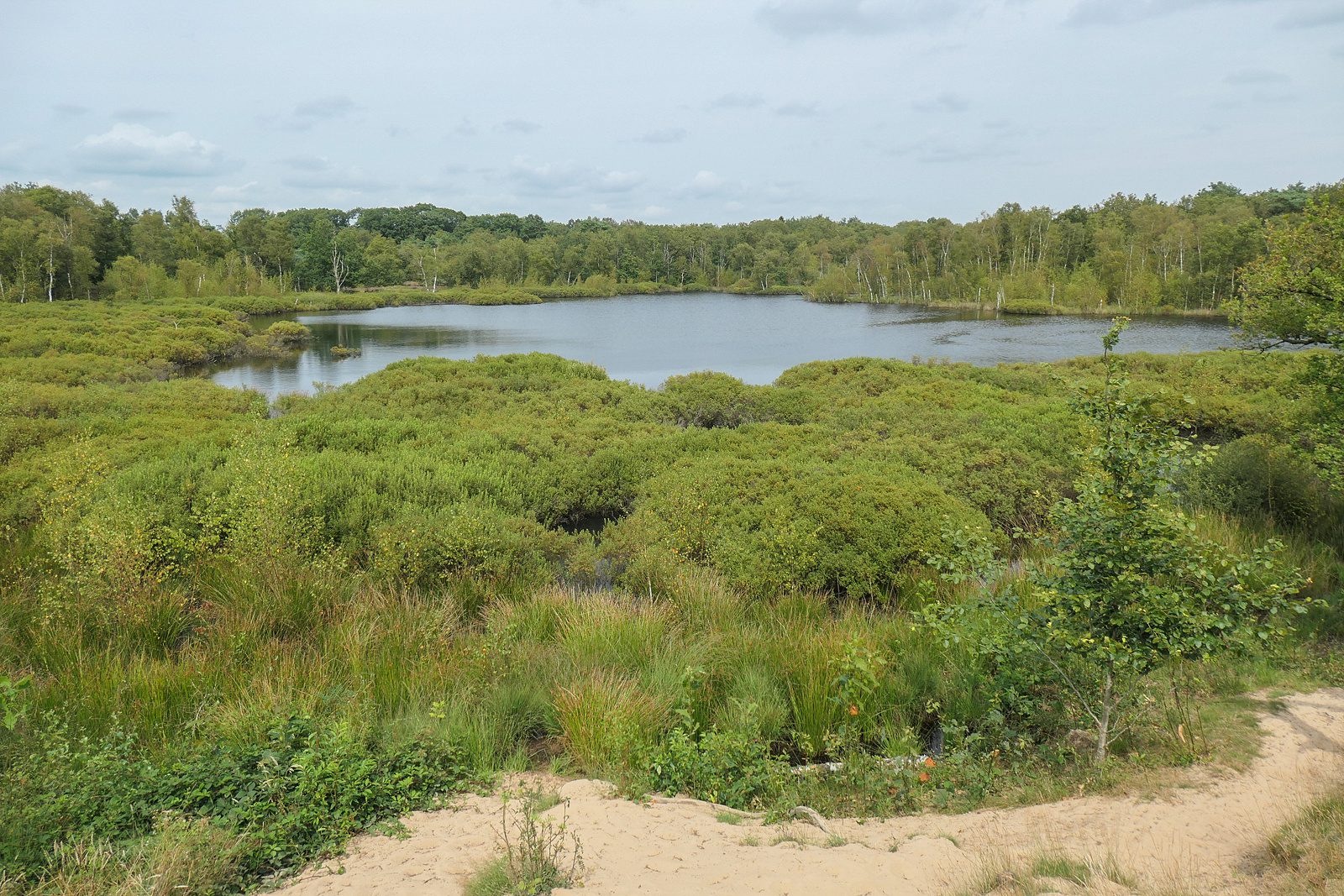 De Strubben