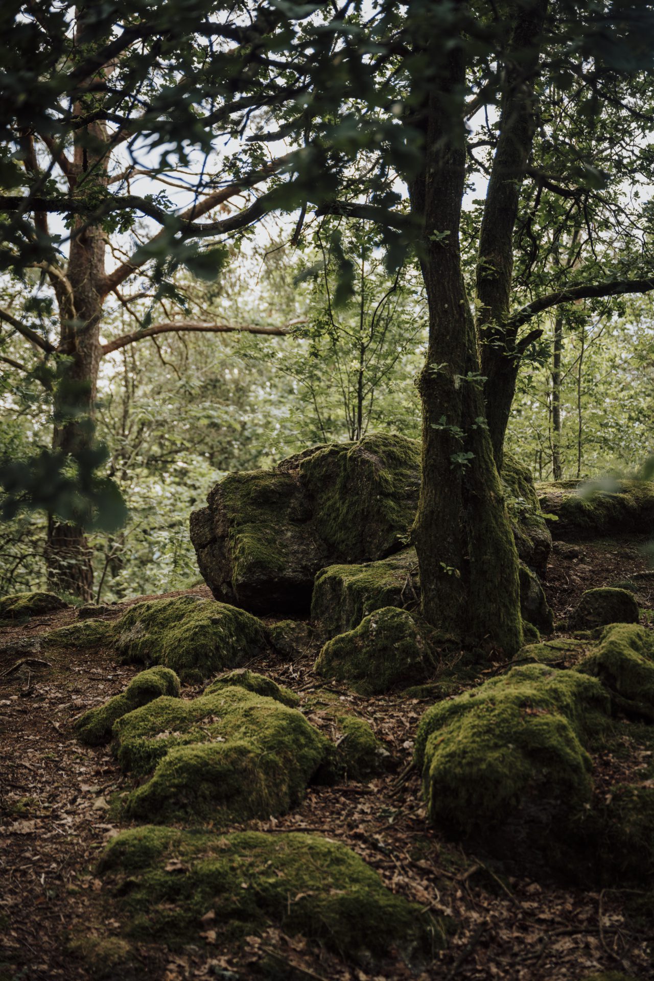 Wandel langs mystieke megalieten rondom Wéris | Foto: Sabrina Gaudio