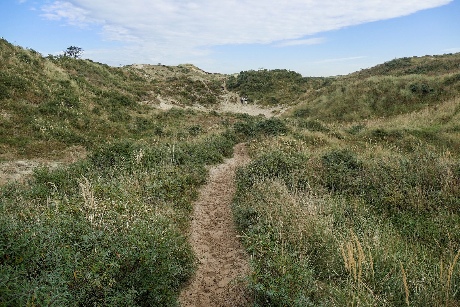 Meeuwenduinen