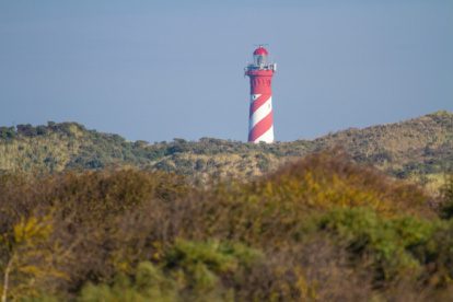 Boswachterspad Meeuwenduinen op Schouwen-Duiveland in Zeeland
