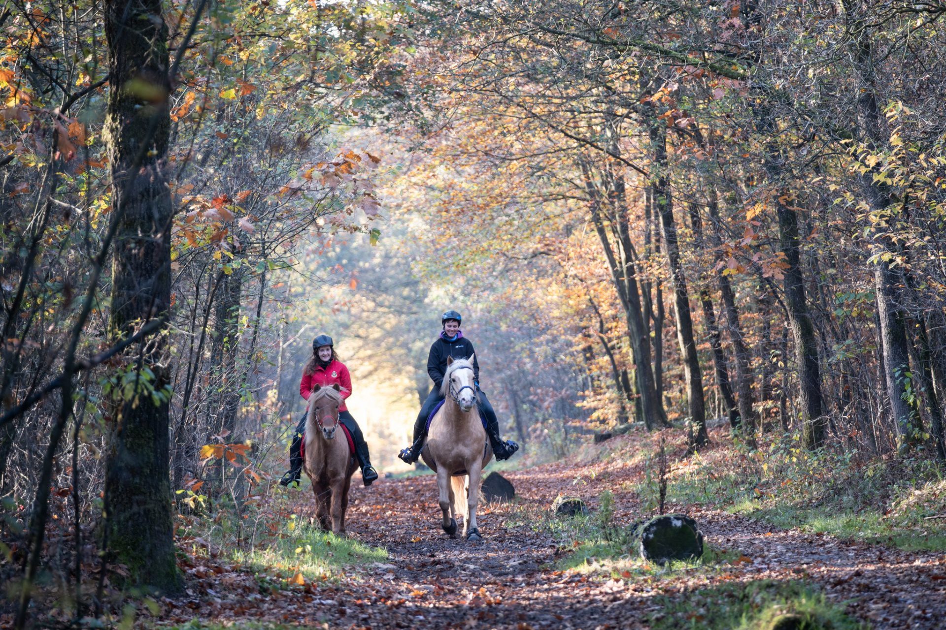 UNESCO-erfgoed en natuur: ontdek deze bijzondere routes rond Appelscha