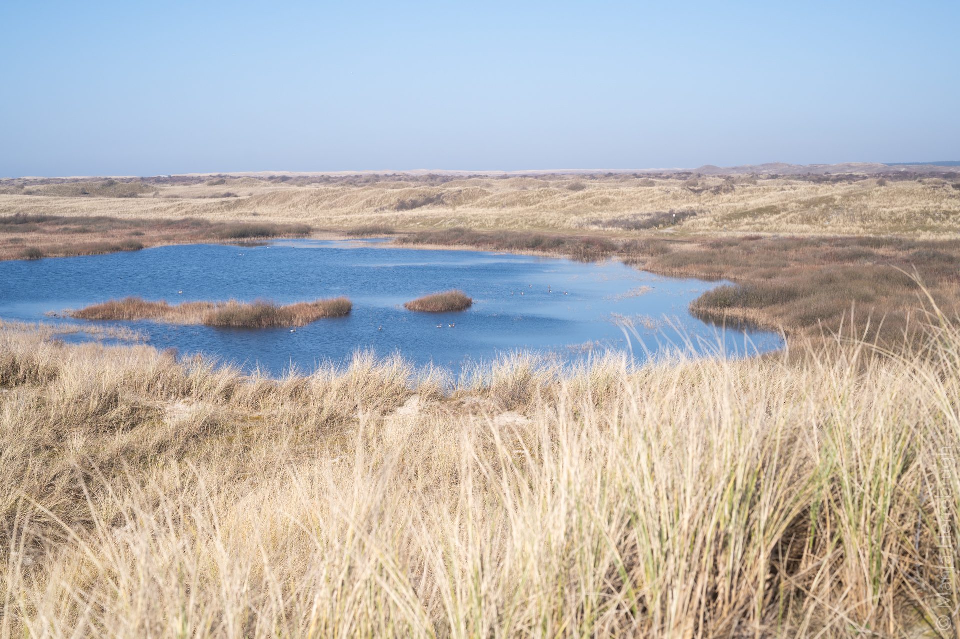 Landal Sluftervallei