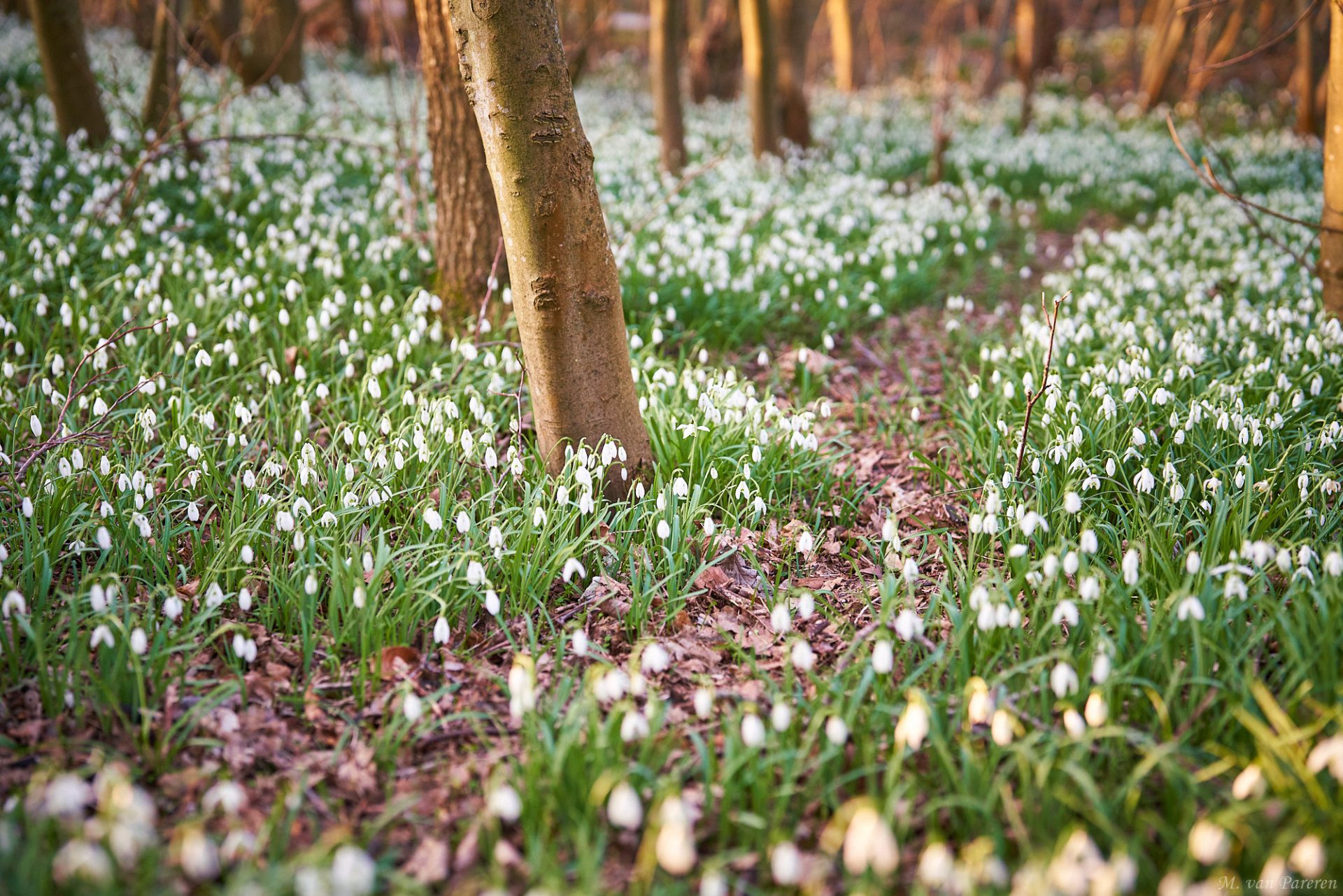 Landal Sluftervallei