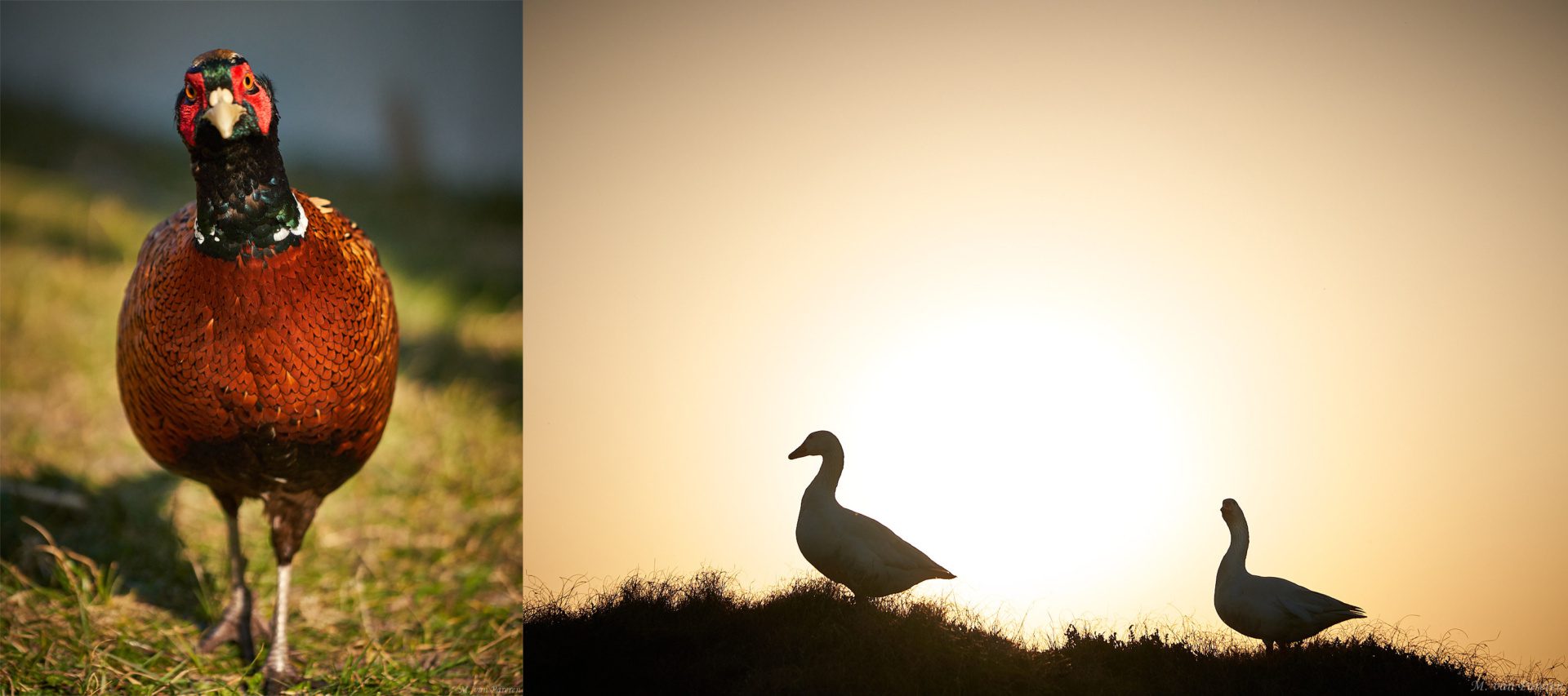 Landal Sluftervallei