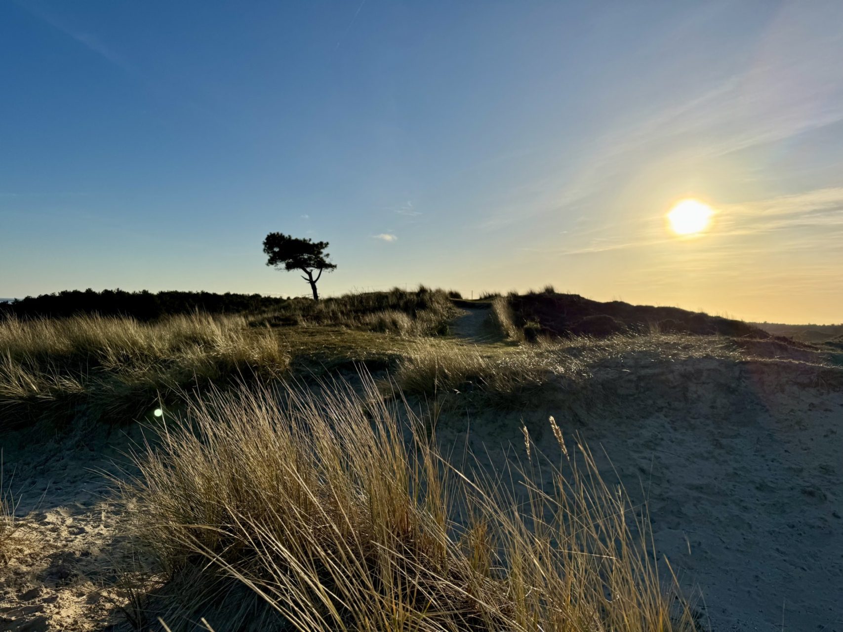 Walk of Grief. Het wandelpad om stil staan bij rouw.