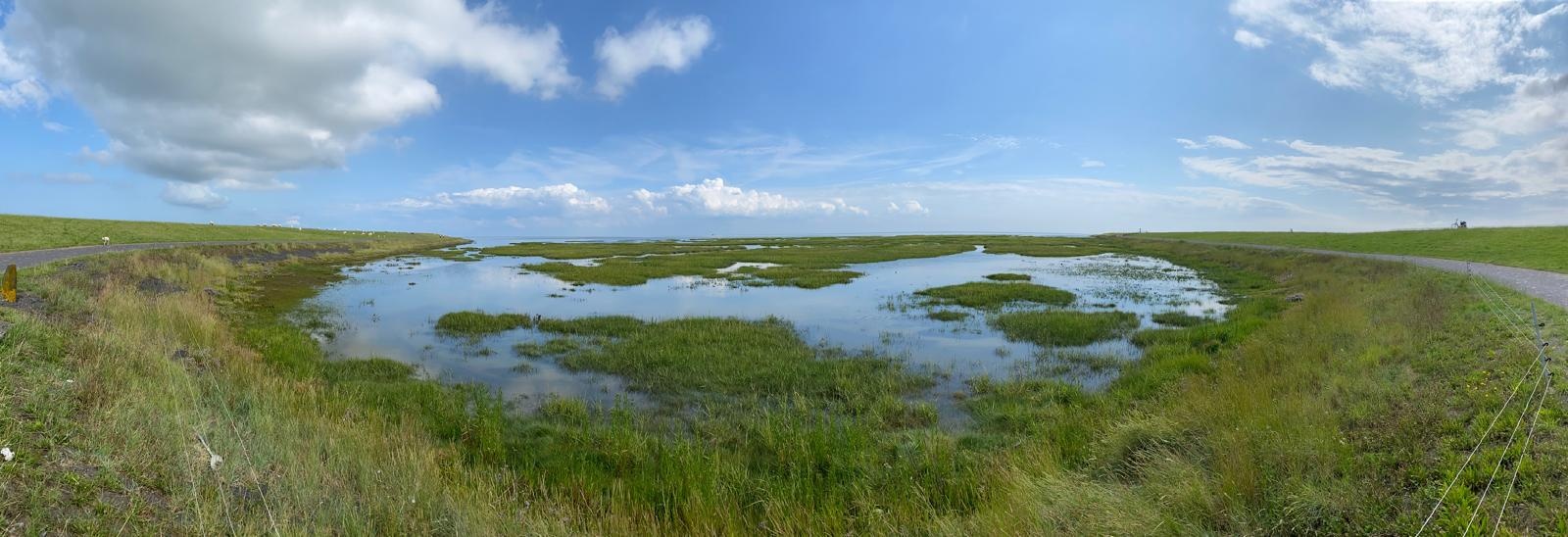 Wandelroute van het Jaar: de mooiste paden op een rij